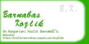 barnabas kozlik business card